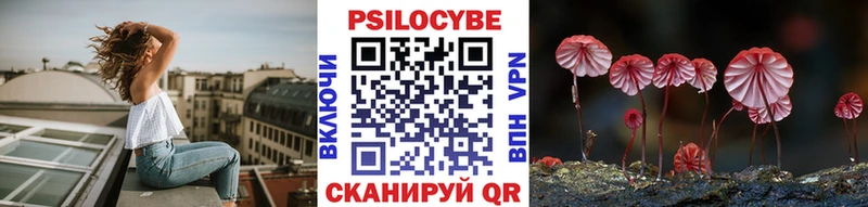 ОМГ ОМГ зеркало  Чёрмоз  Галлюциногенные грибы MAGIC MUSHROOMS 